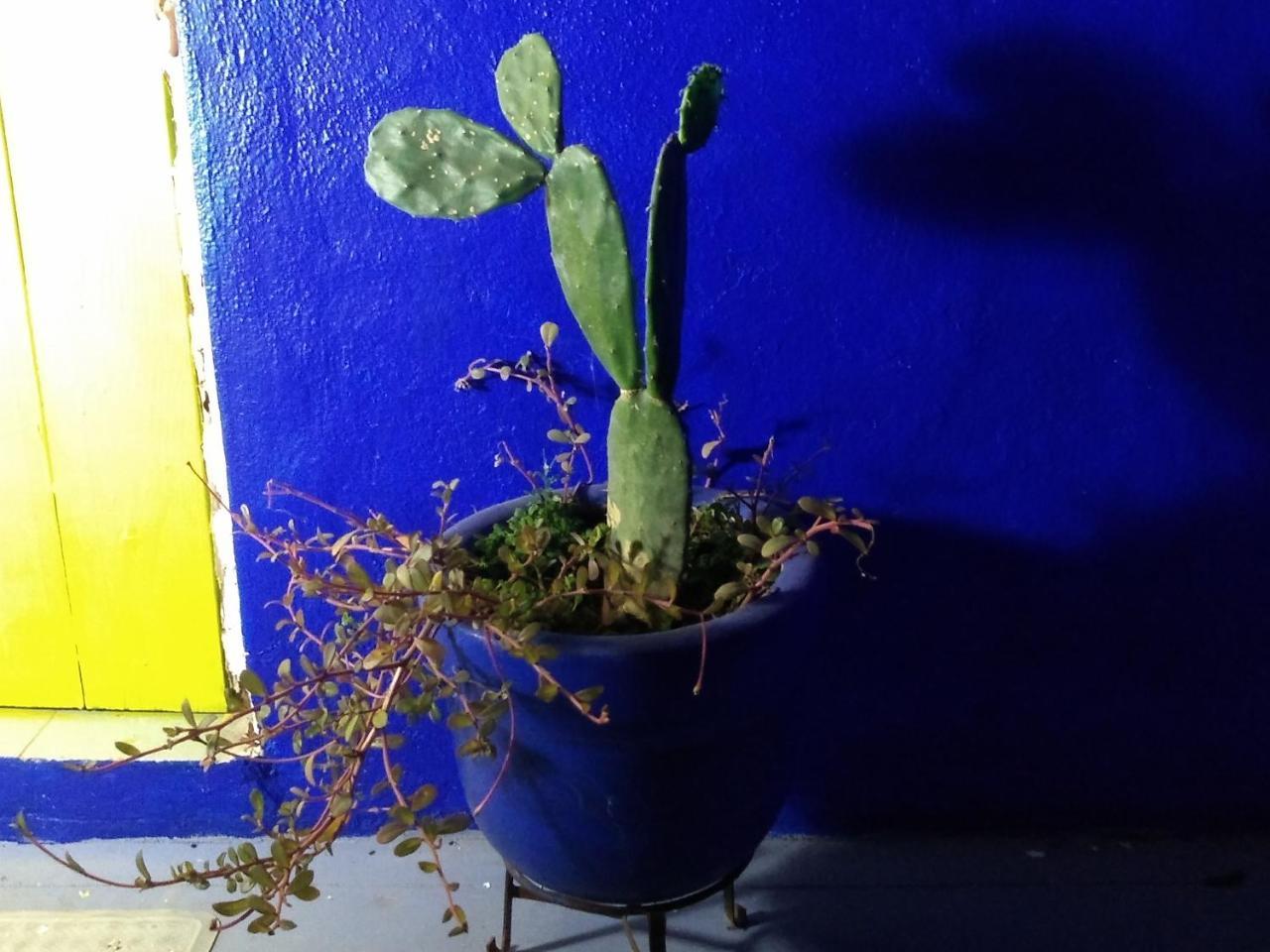 Lola Atlachinolli Sayulita Ngoại thất bức ảnh