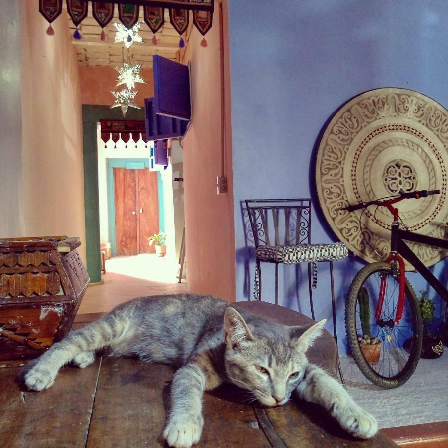 Lola Atlachinolli Sayulita Ngoại thất bức ảnh